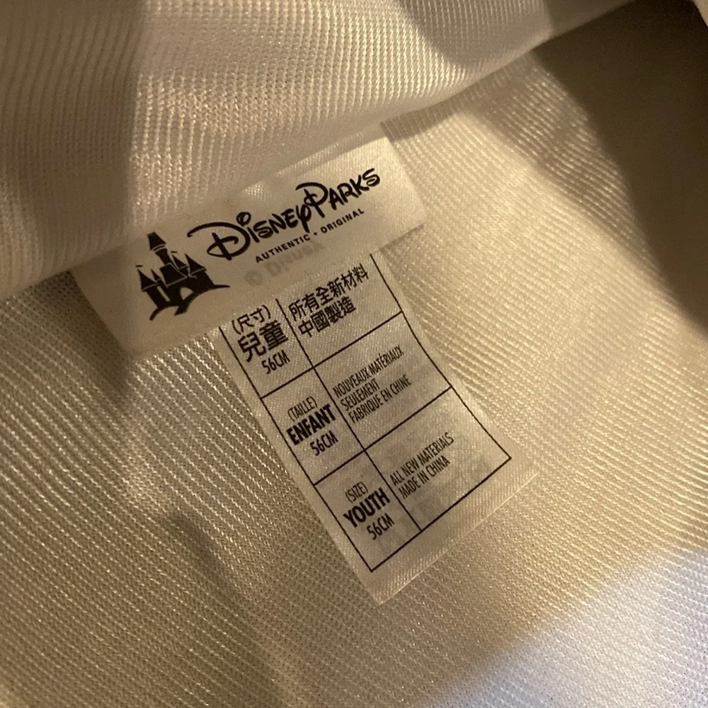 Disney mickey mouse