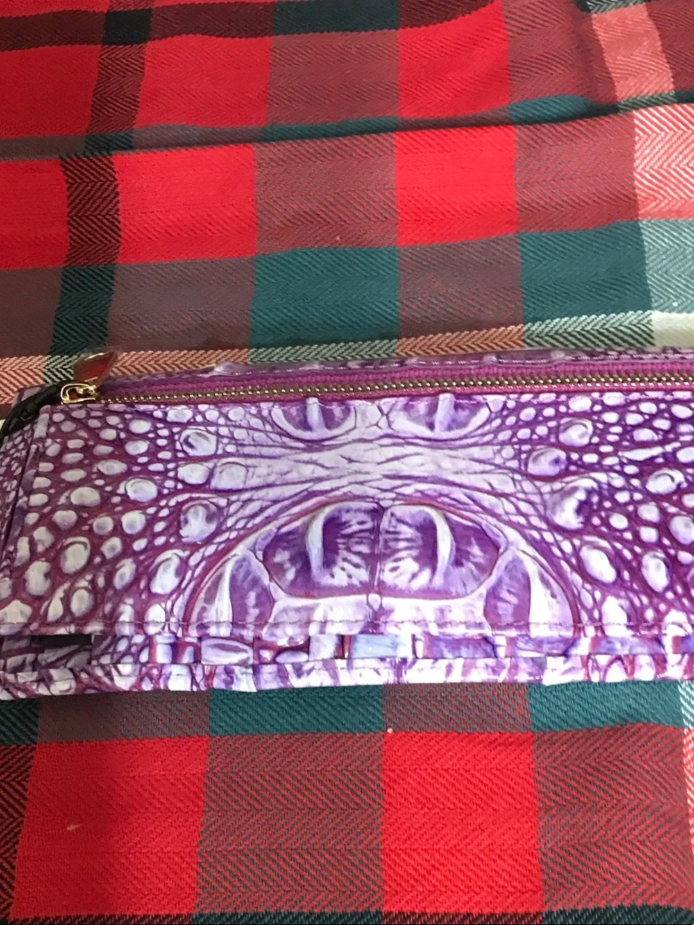 Brahmin eye catching
