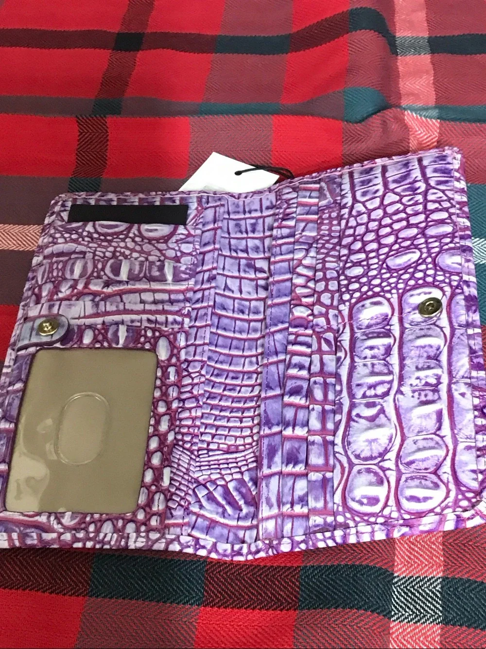 Brahmin eye catching