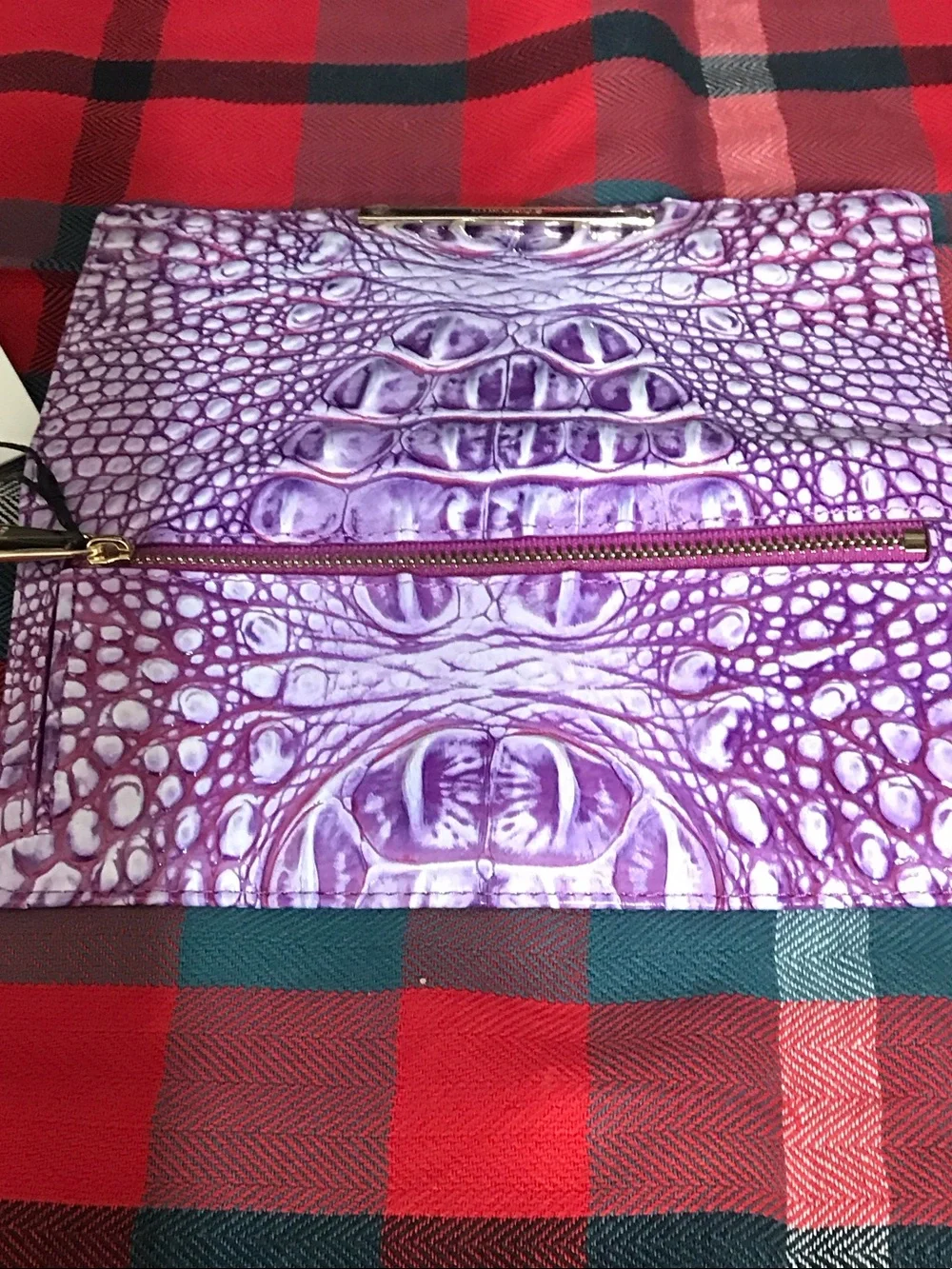 Brahmin eye catching