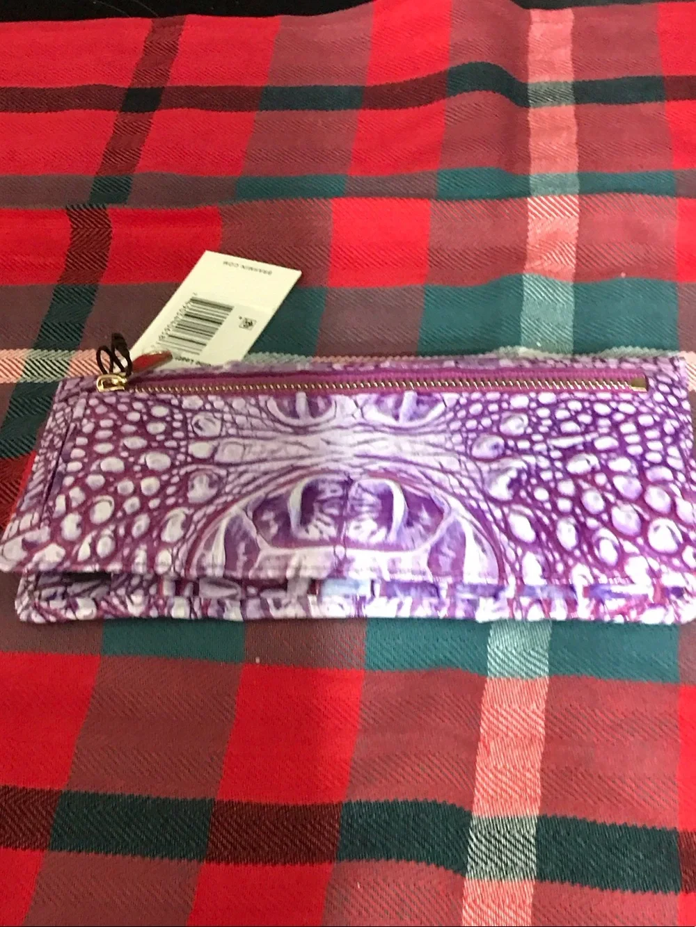 Brahmin eye catching