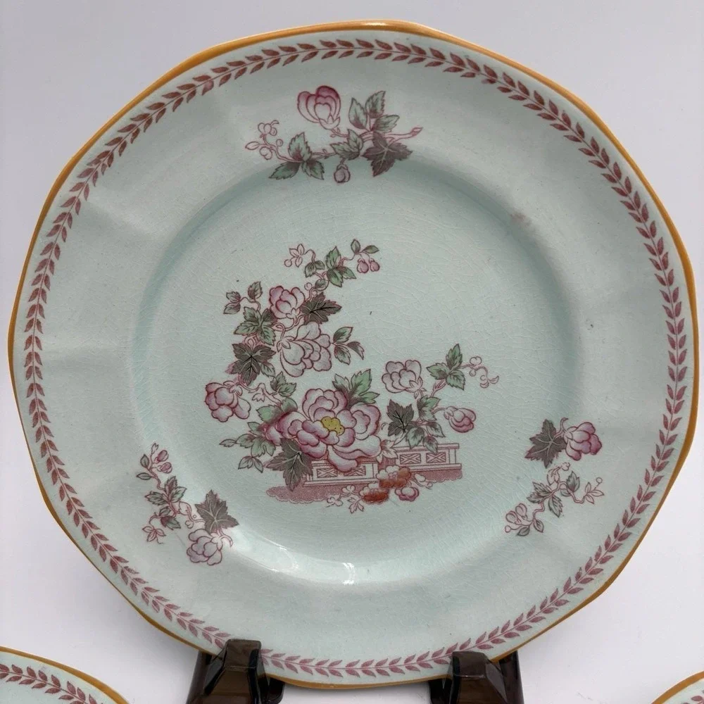 Calyx ware salad