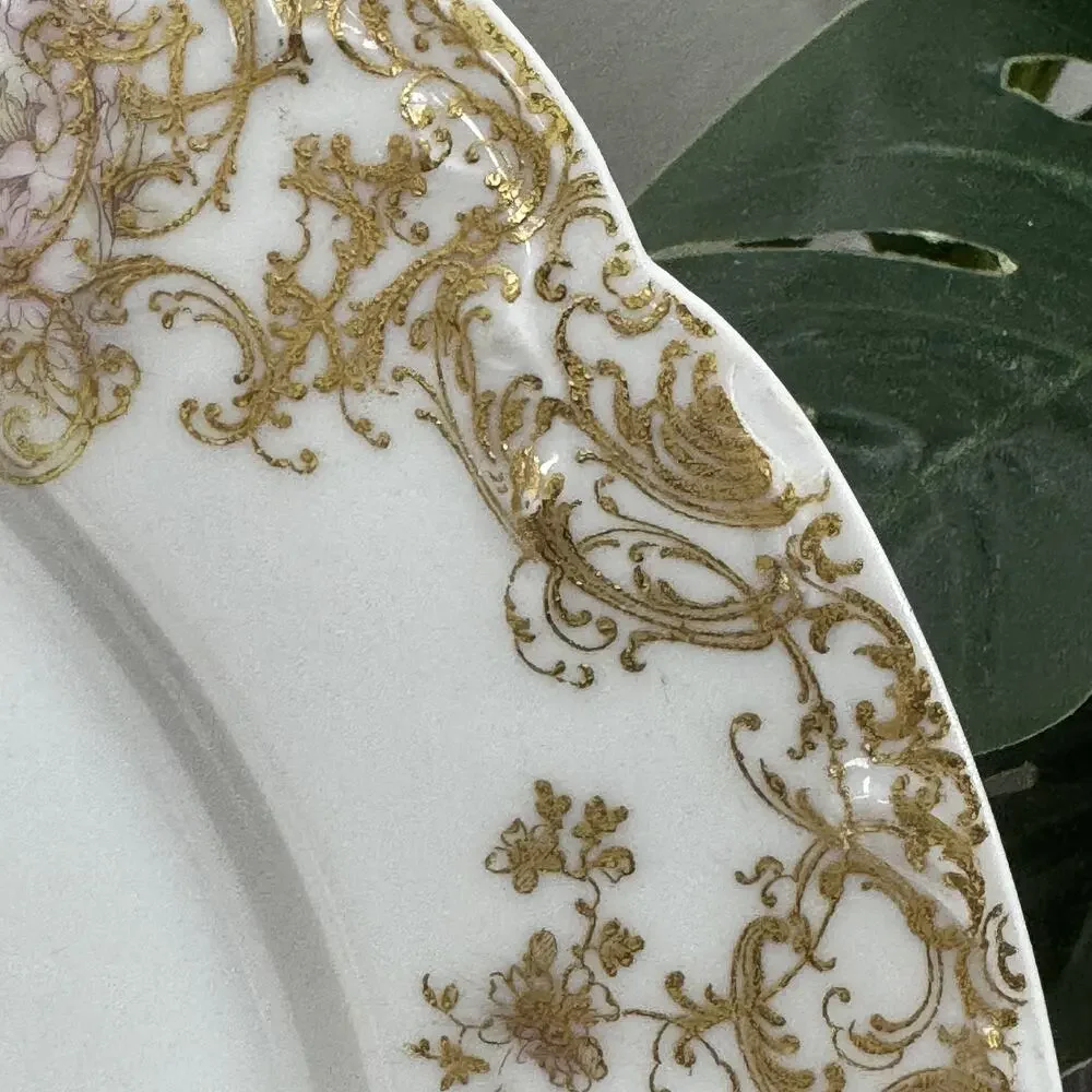 Haviland Co. discover timeless