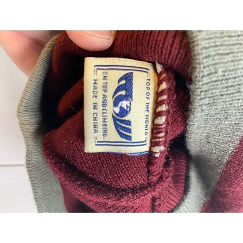 Top of the World beanie nwot