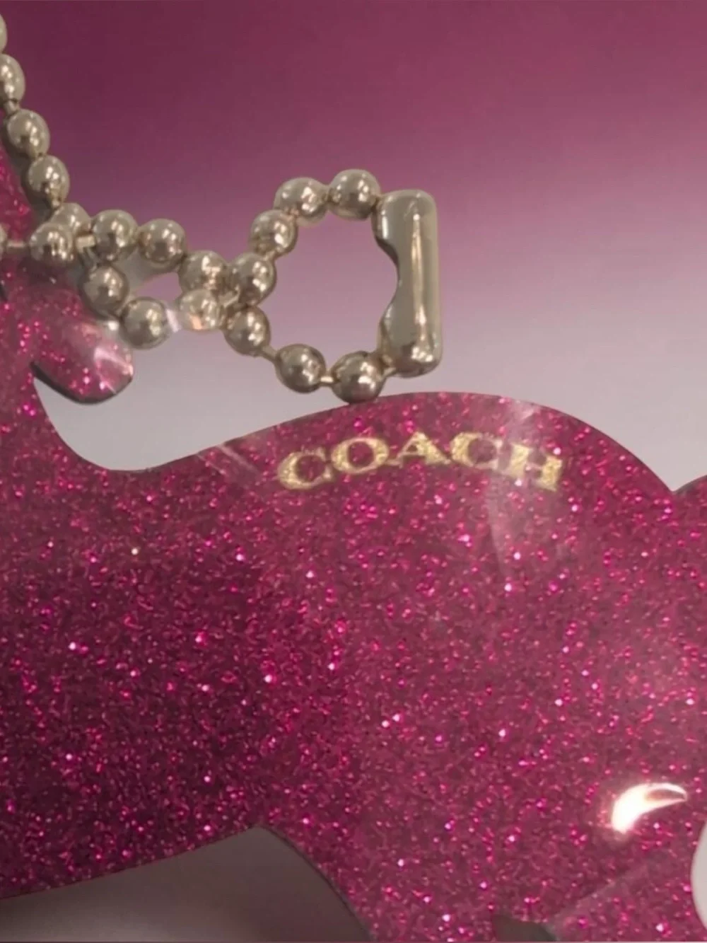 Coach glitter sparkly