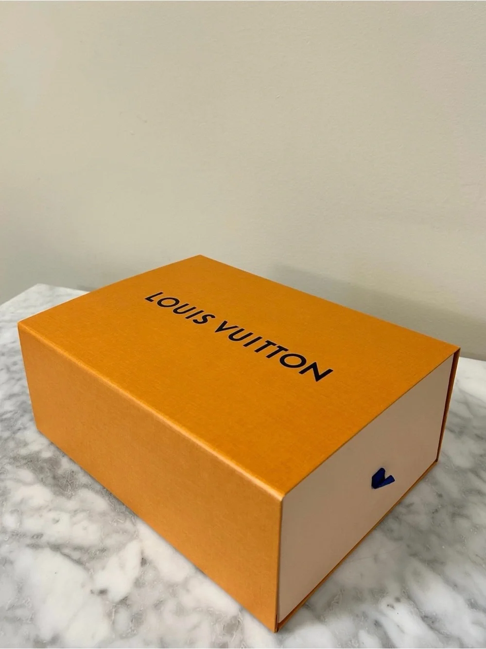 Louis Vuitton authentic louis
