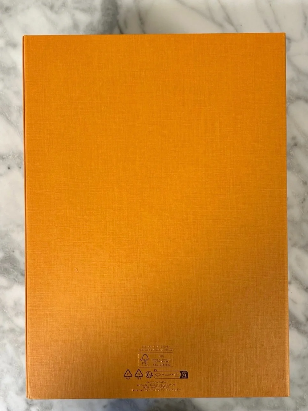 Louis Vuitton authentic louis