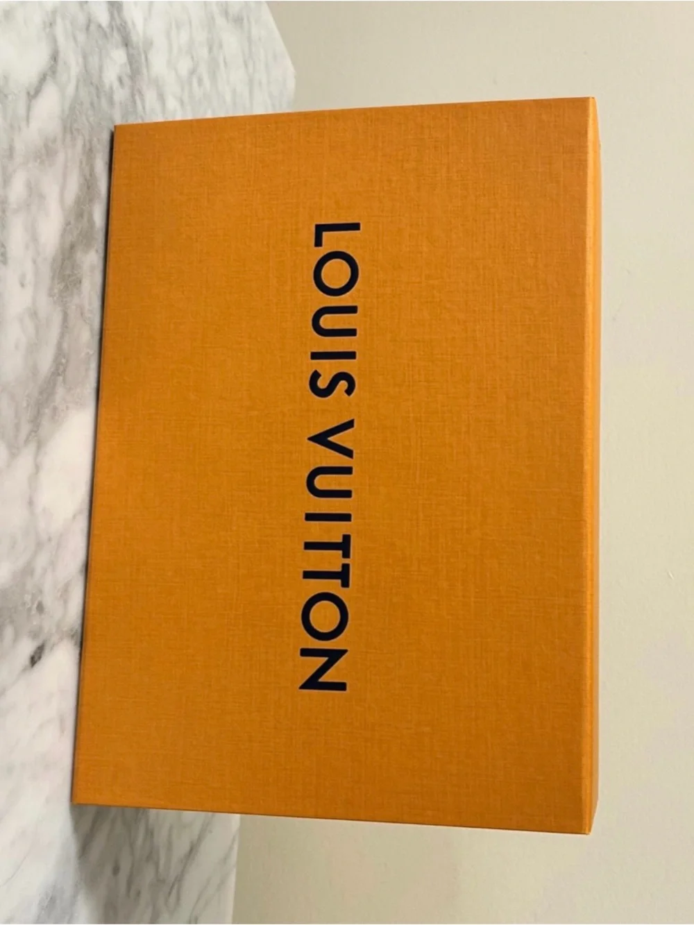 Louis Vuitton authentic louis