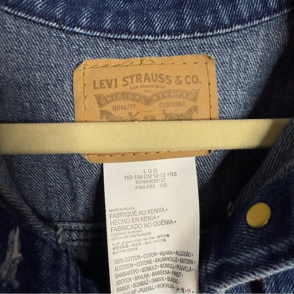 Levis stylish levi