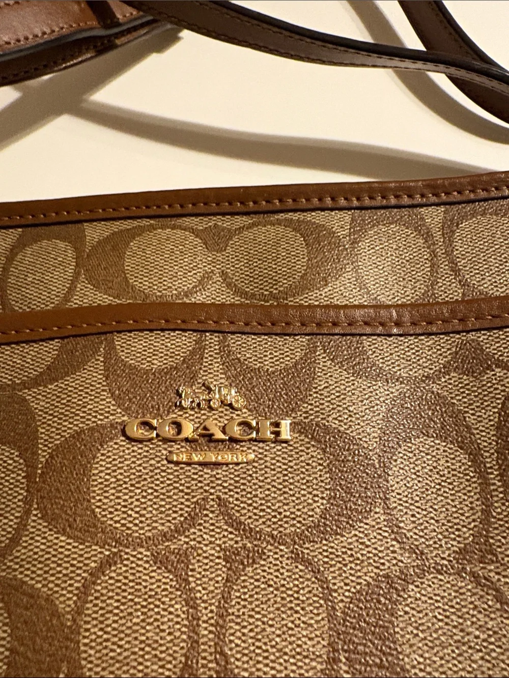 Coach signature canvas