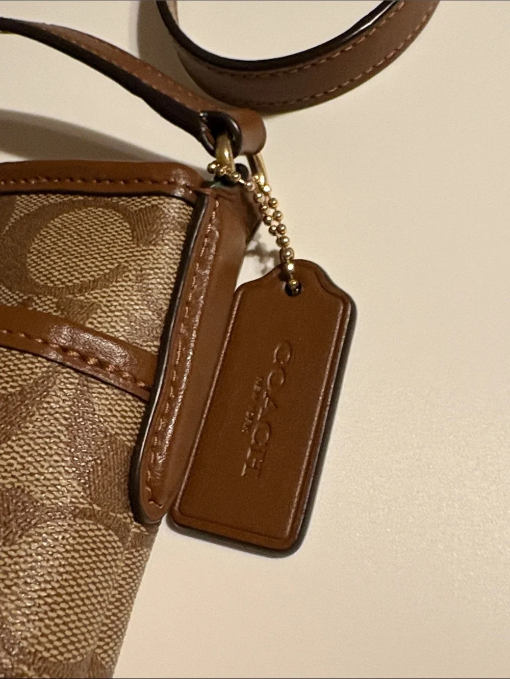 Coach signature canvas
