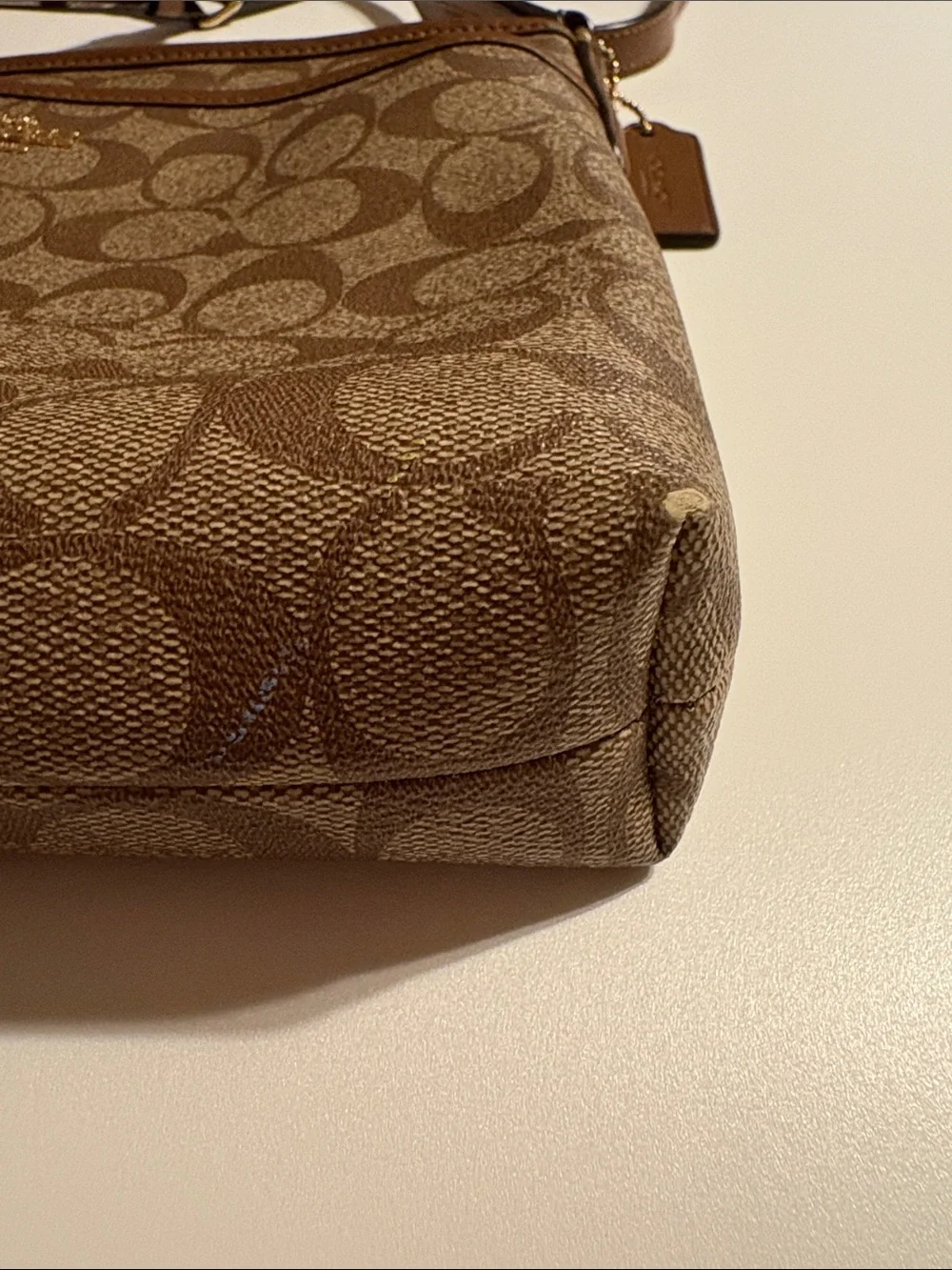 Coach signature canvas