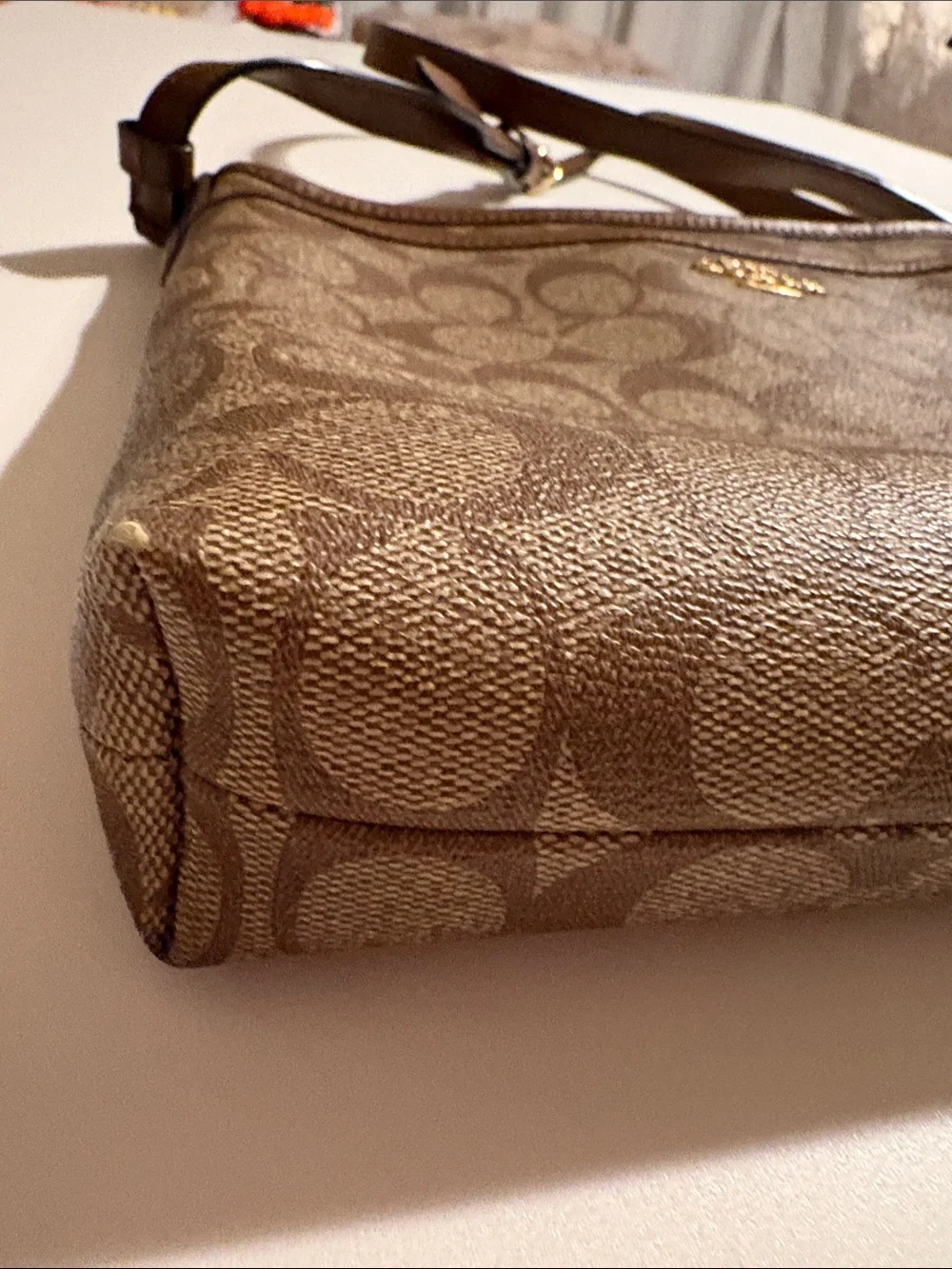 Coach signature canvas