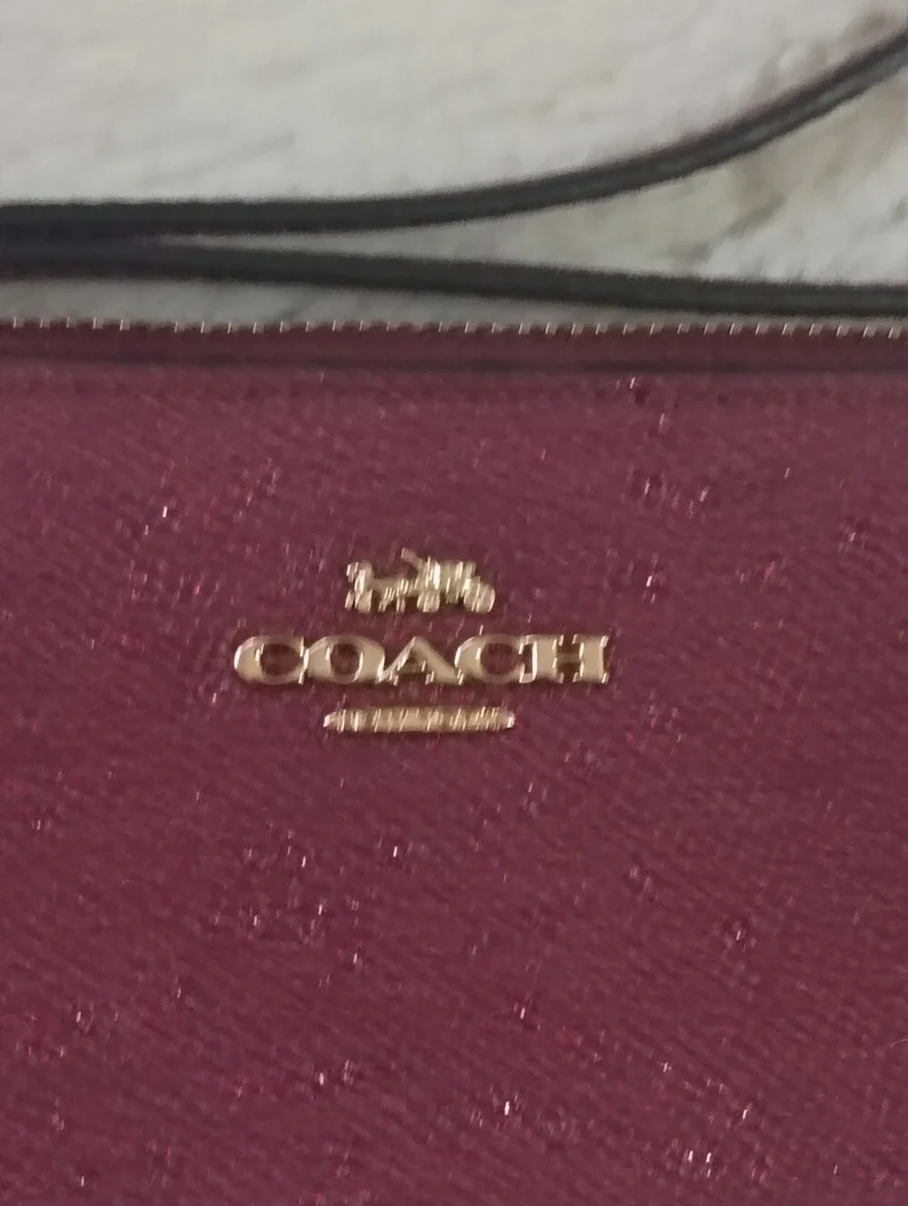 Coach wristlet callouts