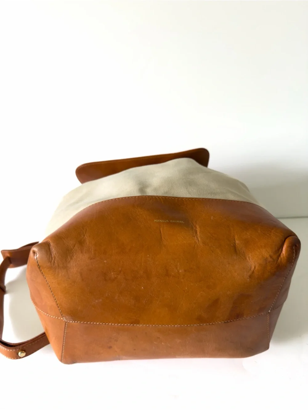 Mansur Gavriel stylish canvas