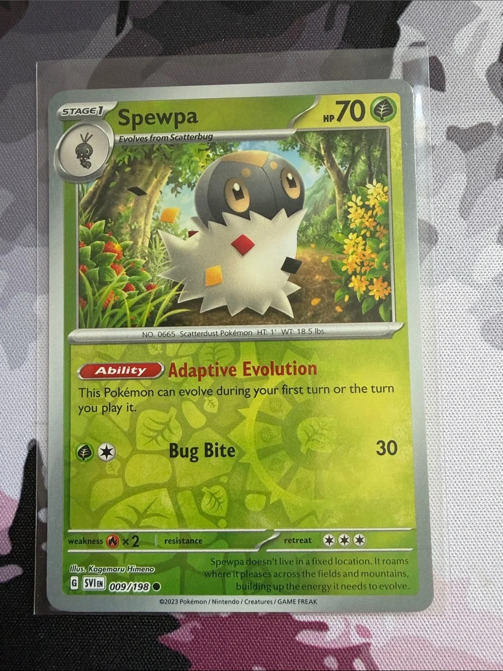 Pokemon just any cards