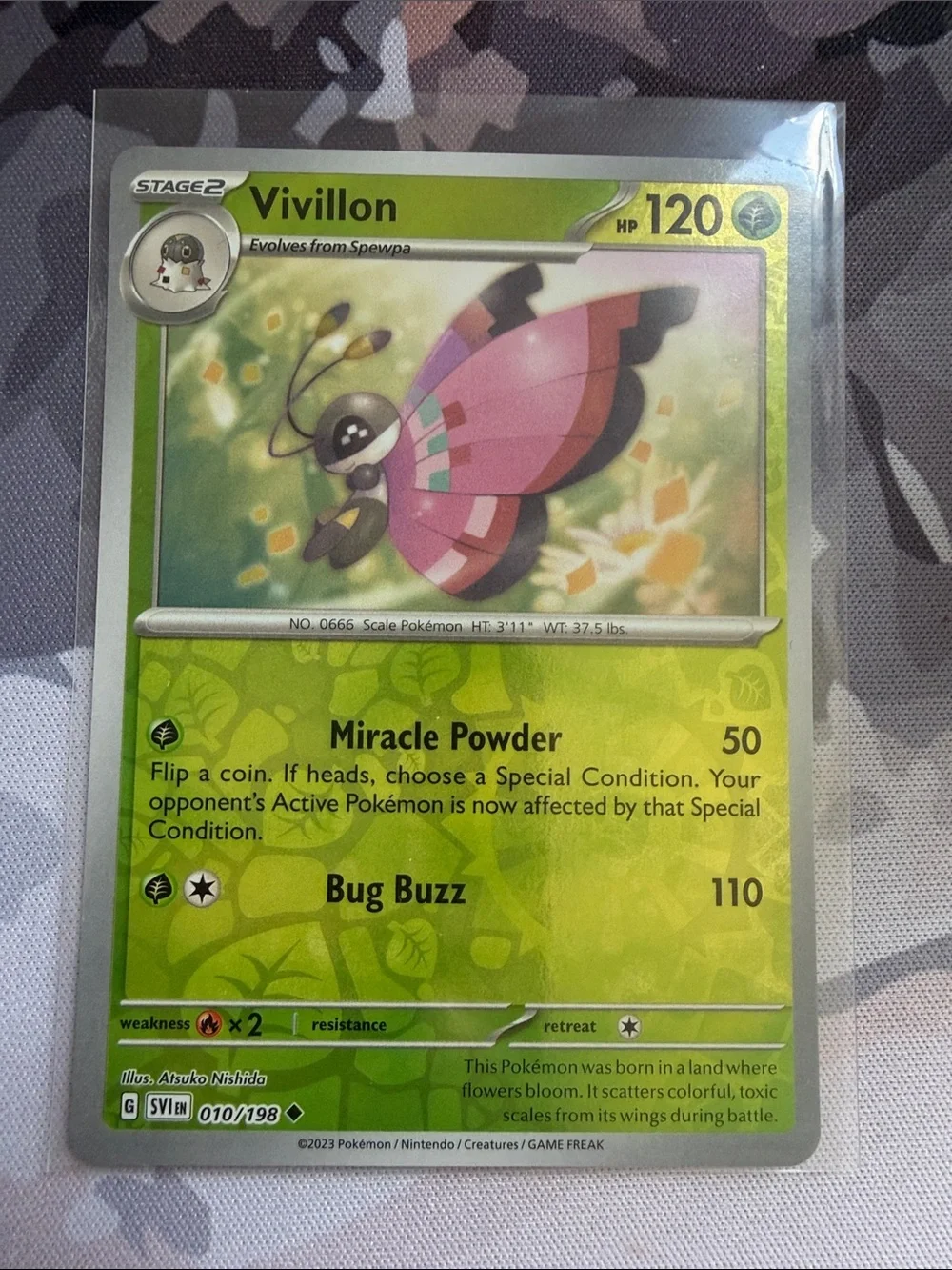 Pokemon bug colorful kept