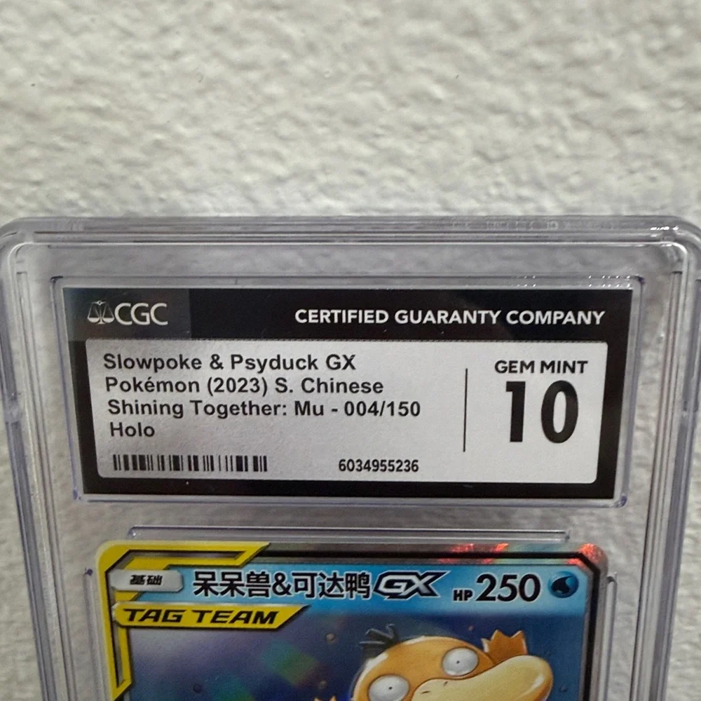 Pokemon pokémon chinese