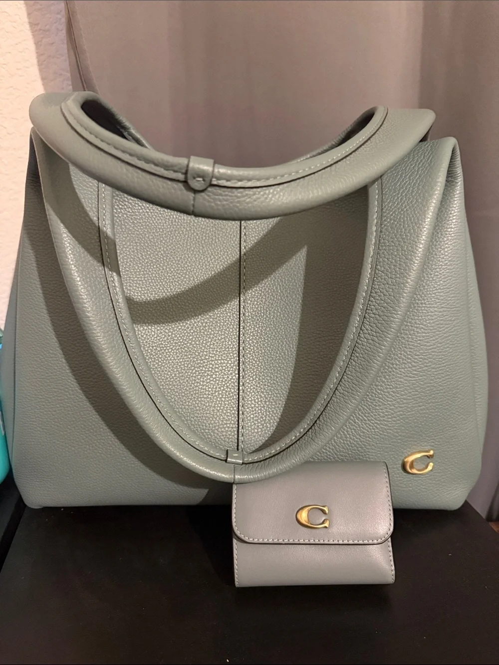 Coach Large Lana Bag in Sage