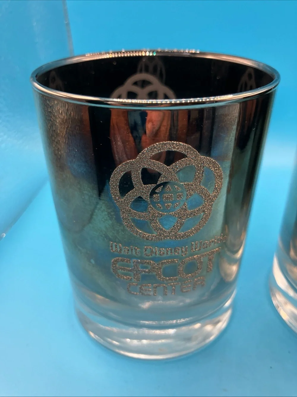Disney World pair commemorative