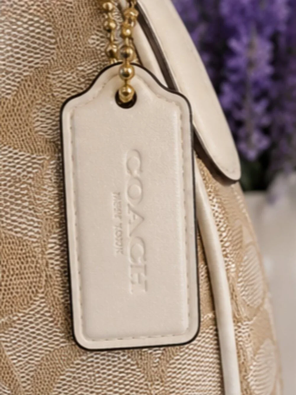 Coach authentic signature