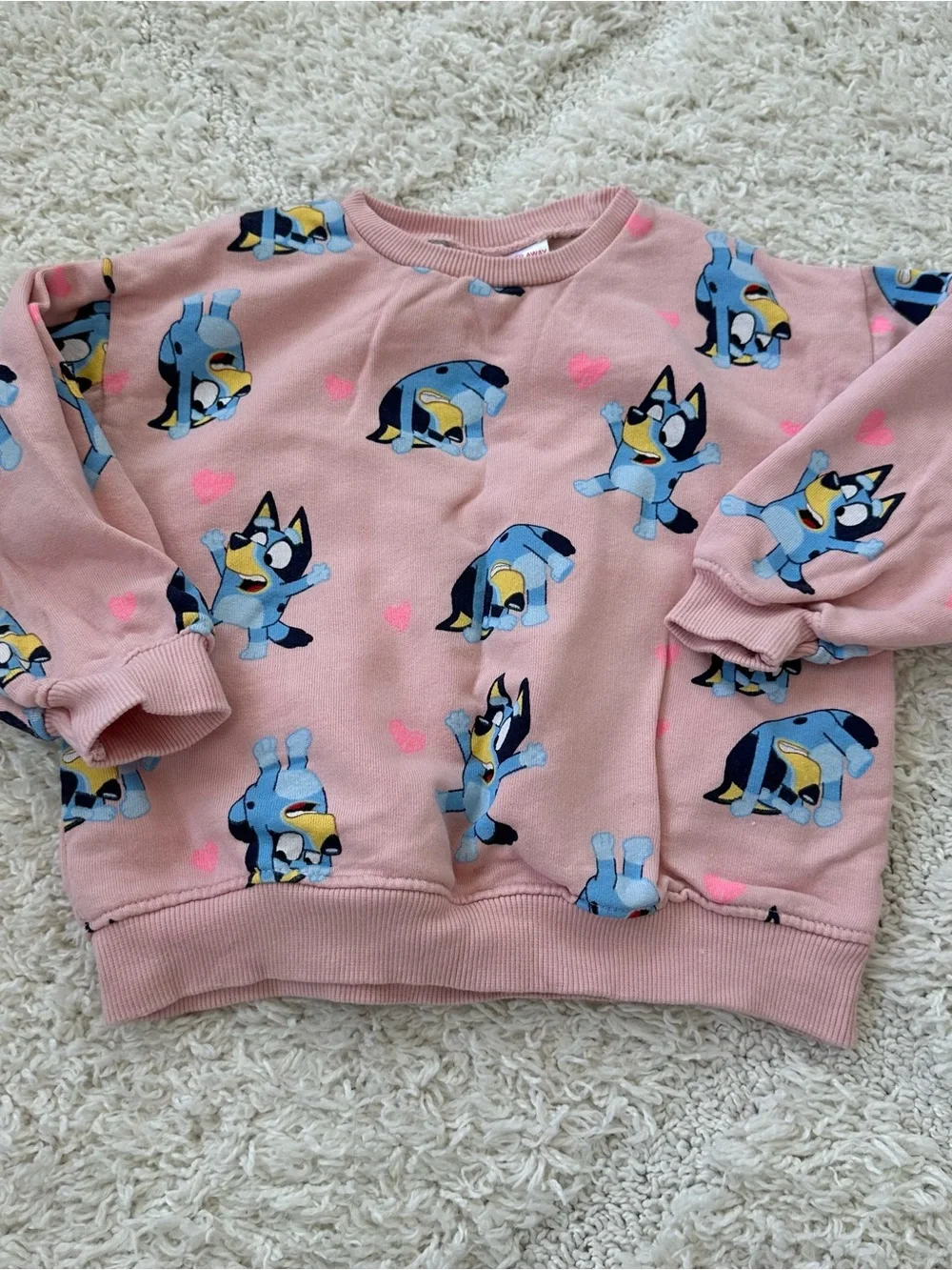 Zara Pink Bluey Set