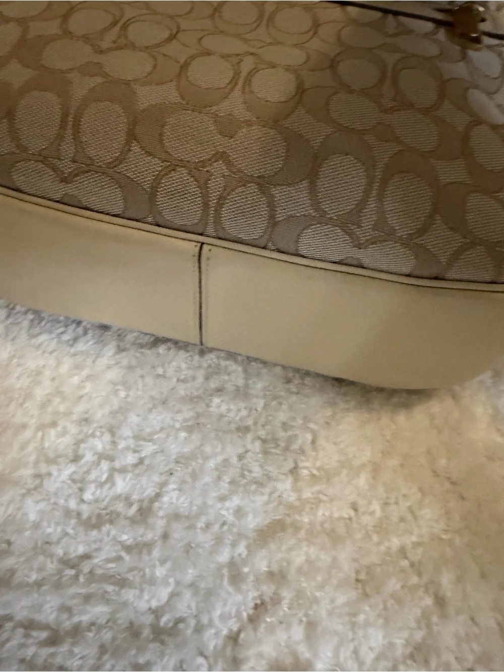 Coach hobo signature