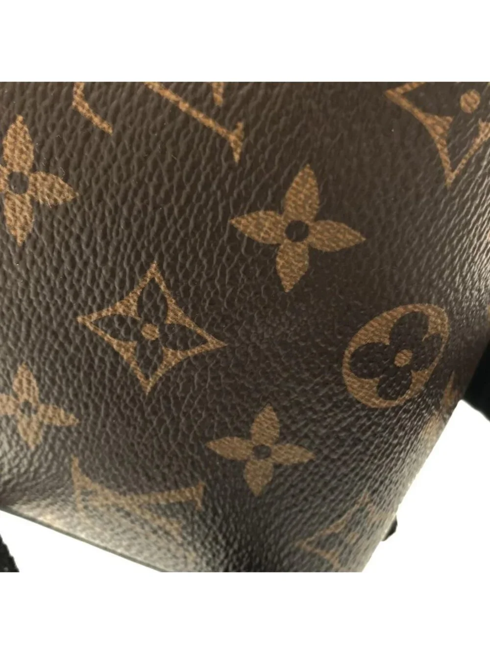 Louis Vuitton Monogram Macassar Josh Backpack