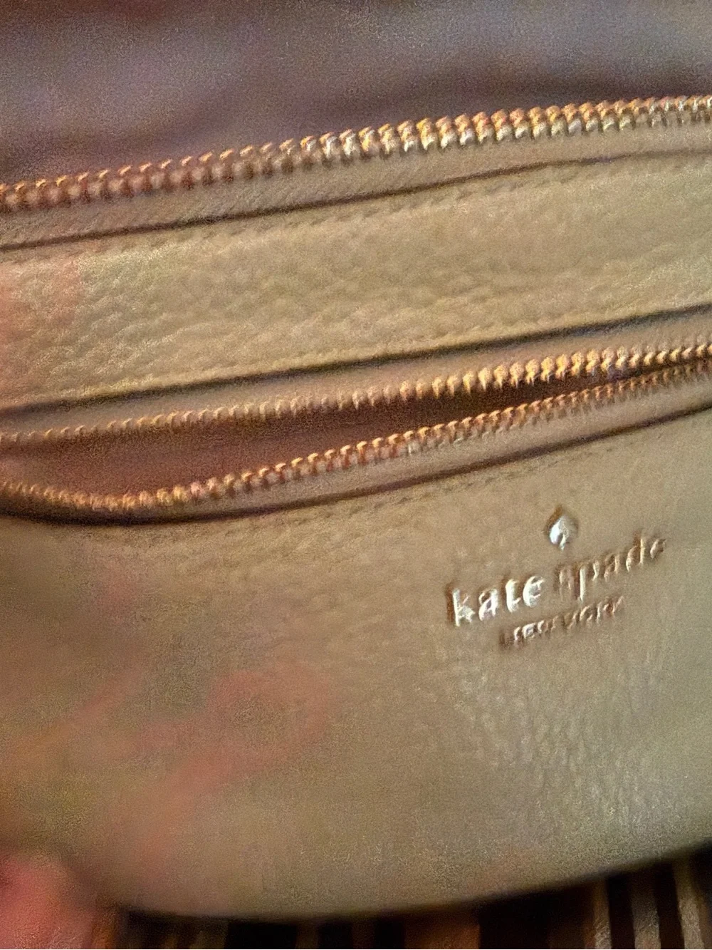 kate spade compact crossbody