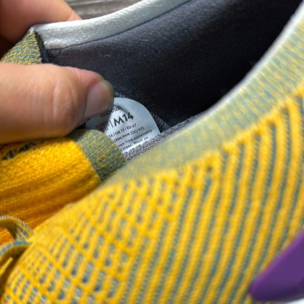 allbirds step out