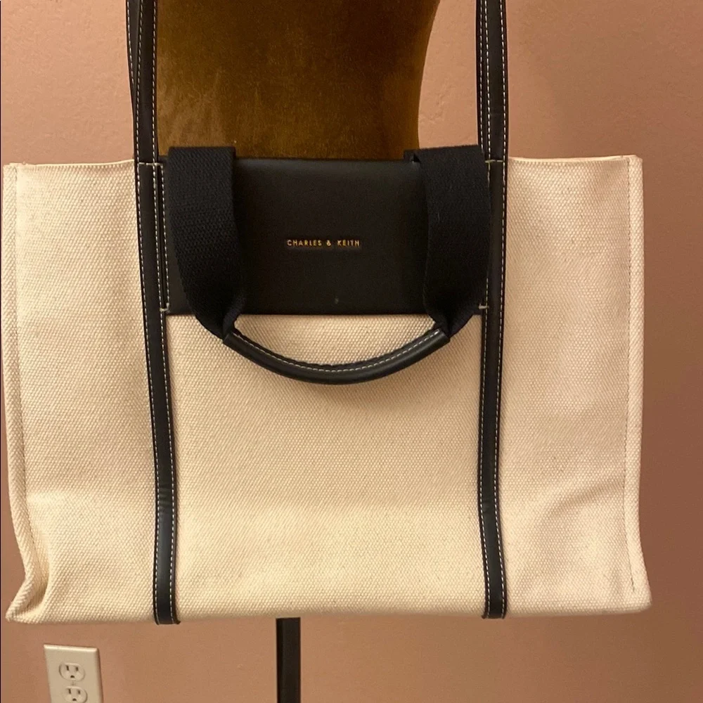 Charles & Keith shoulder leather bag