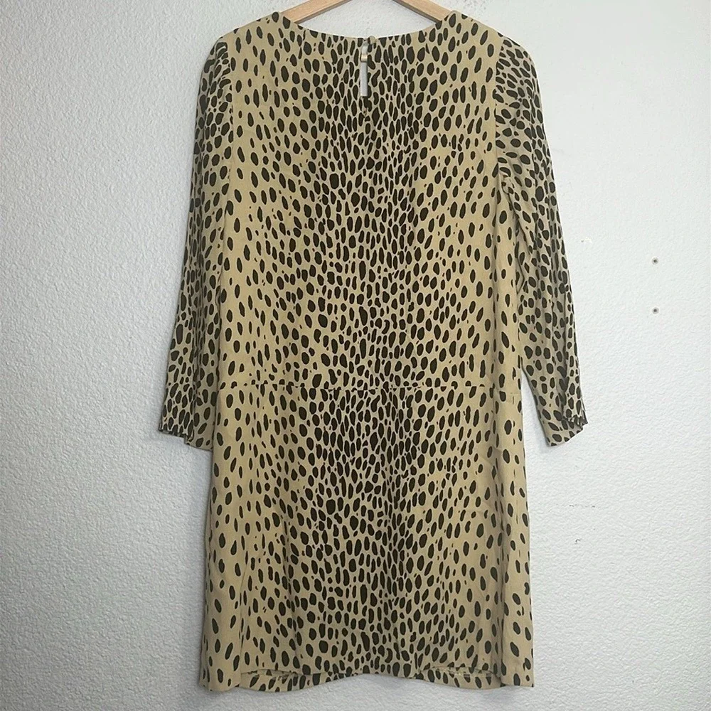 J. Crew size measurements