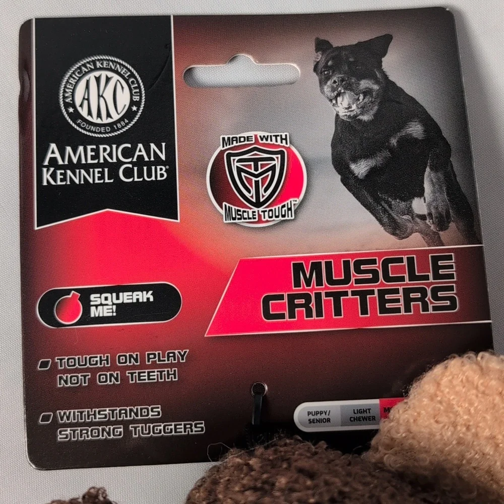 American Kennel Club american kennel
