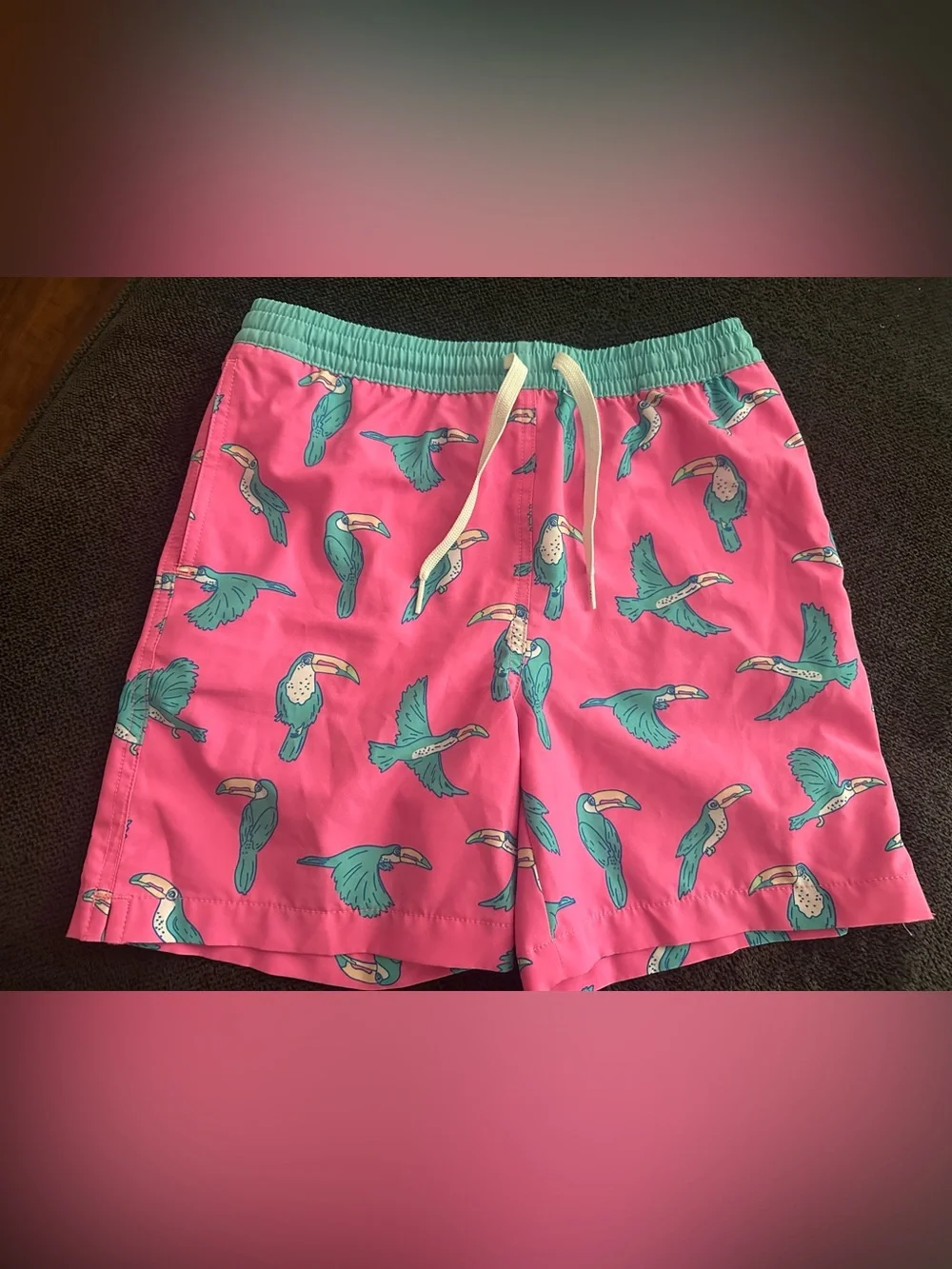 chubbies Teal & Pink Youth Swim Shorts