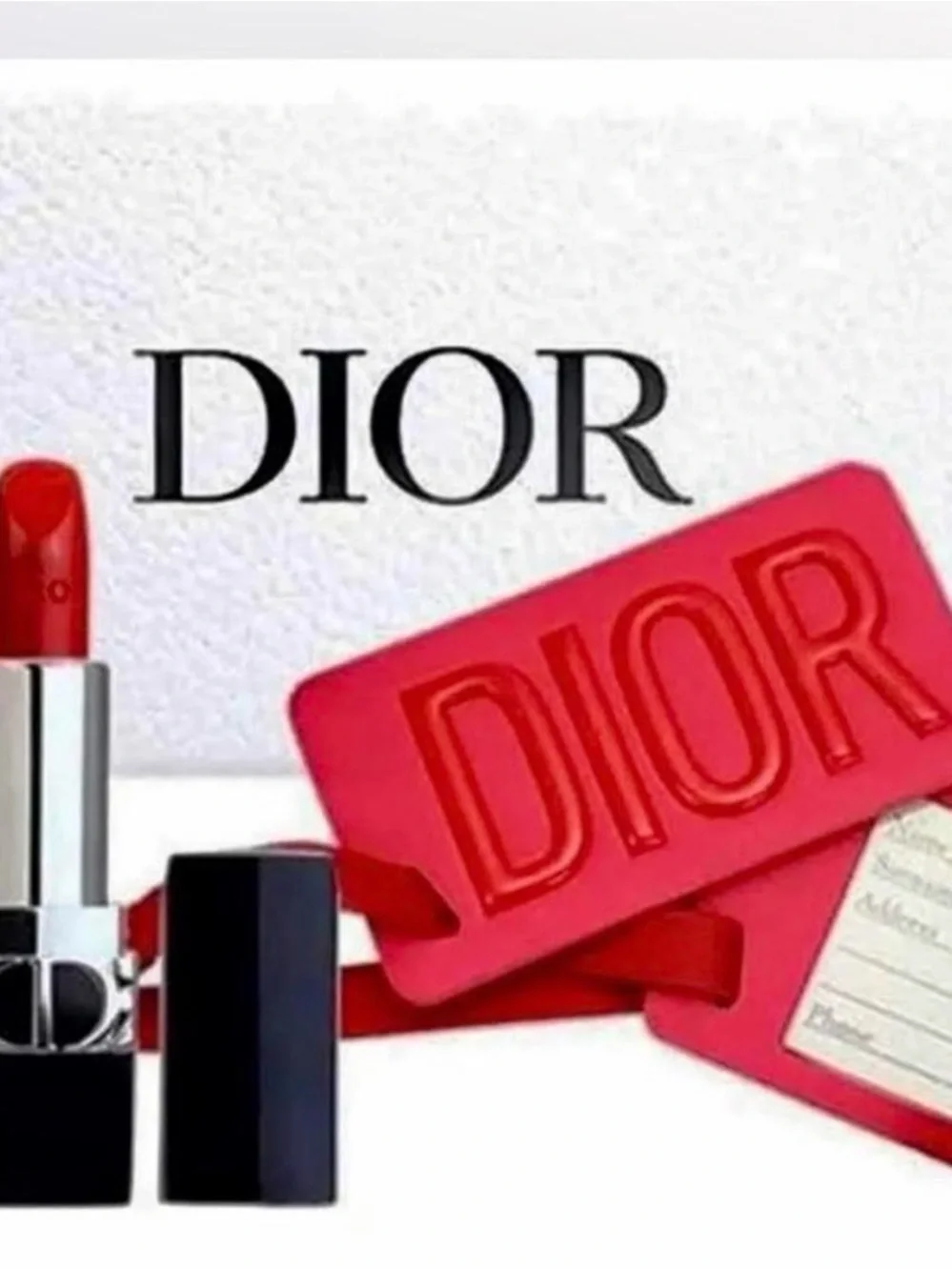 Dior luggage perfect