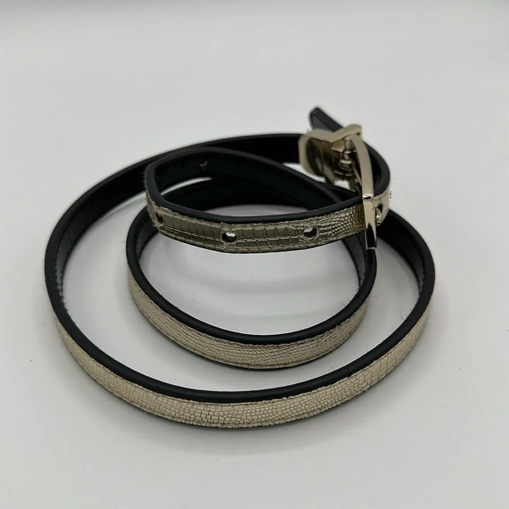 Express thin metallic