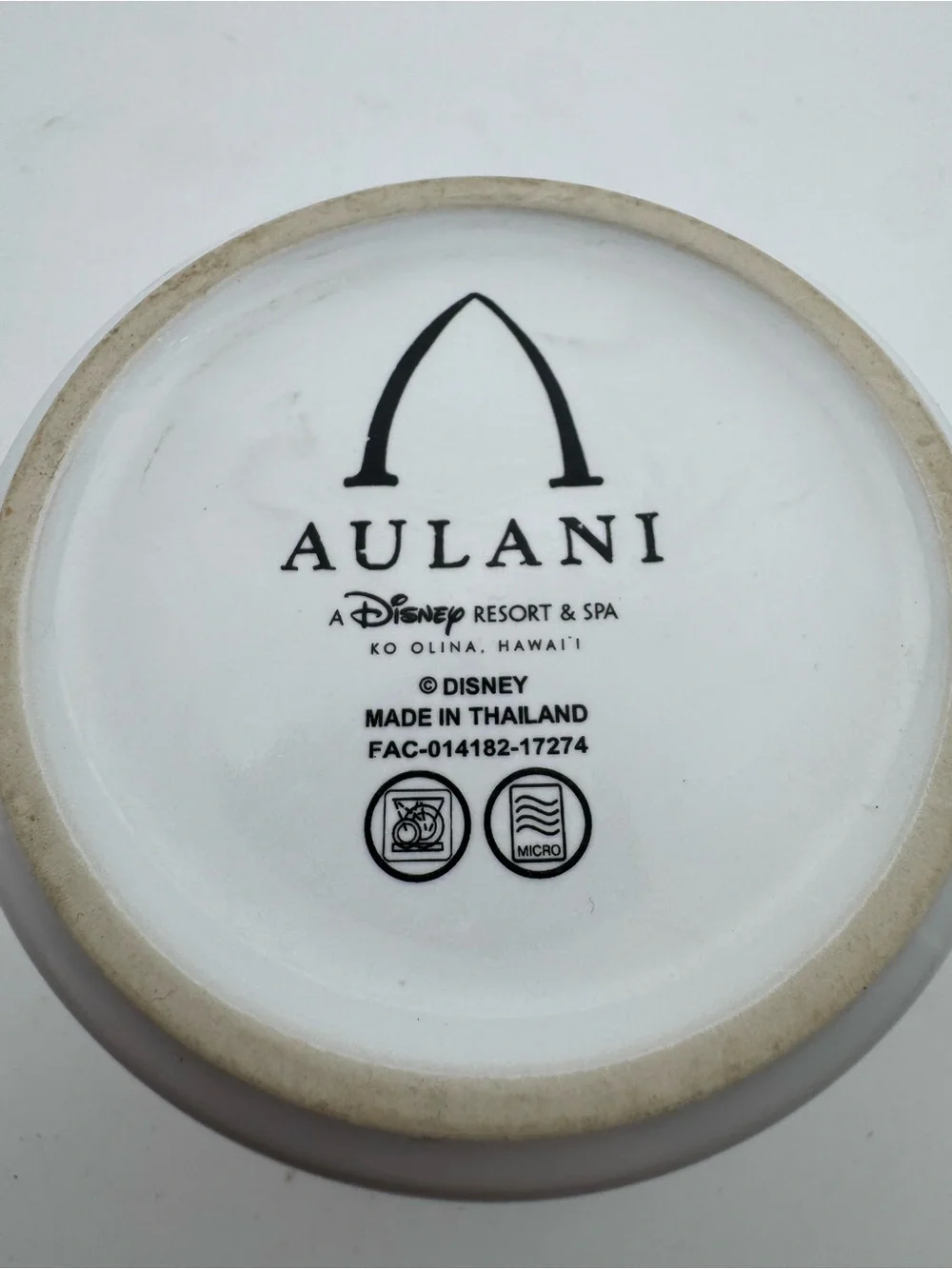 Disneyland Resort will photos mug