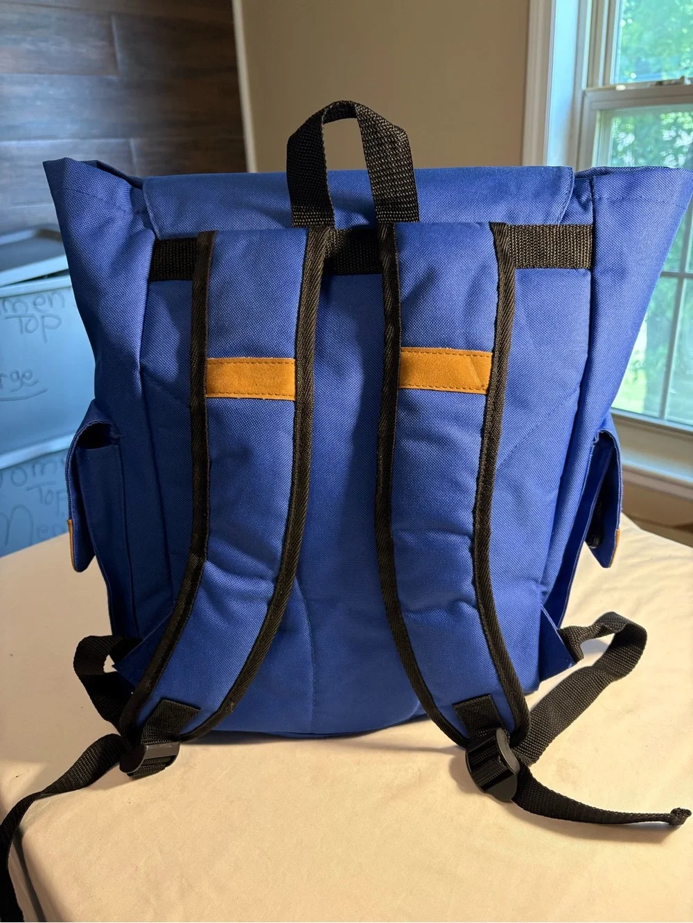 Walt Disney World 1971 Anniversary Blue Backpack Mickey Mouse Edition