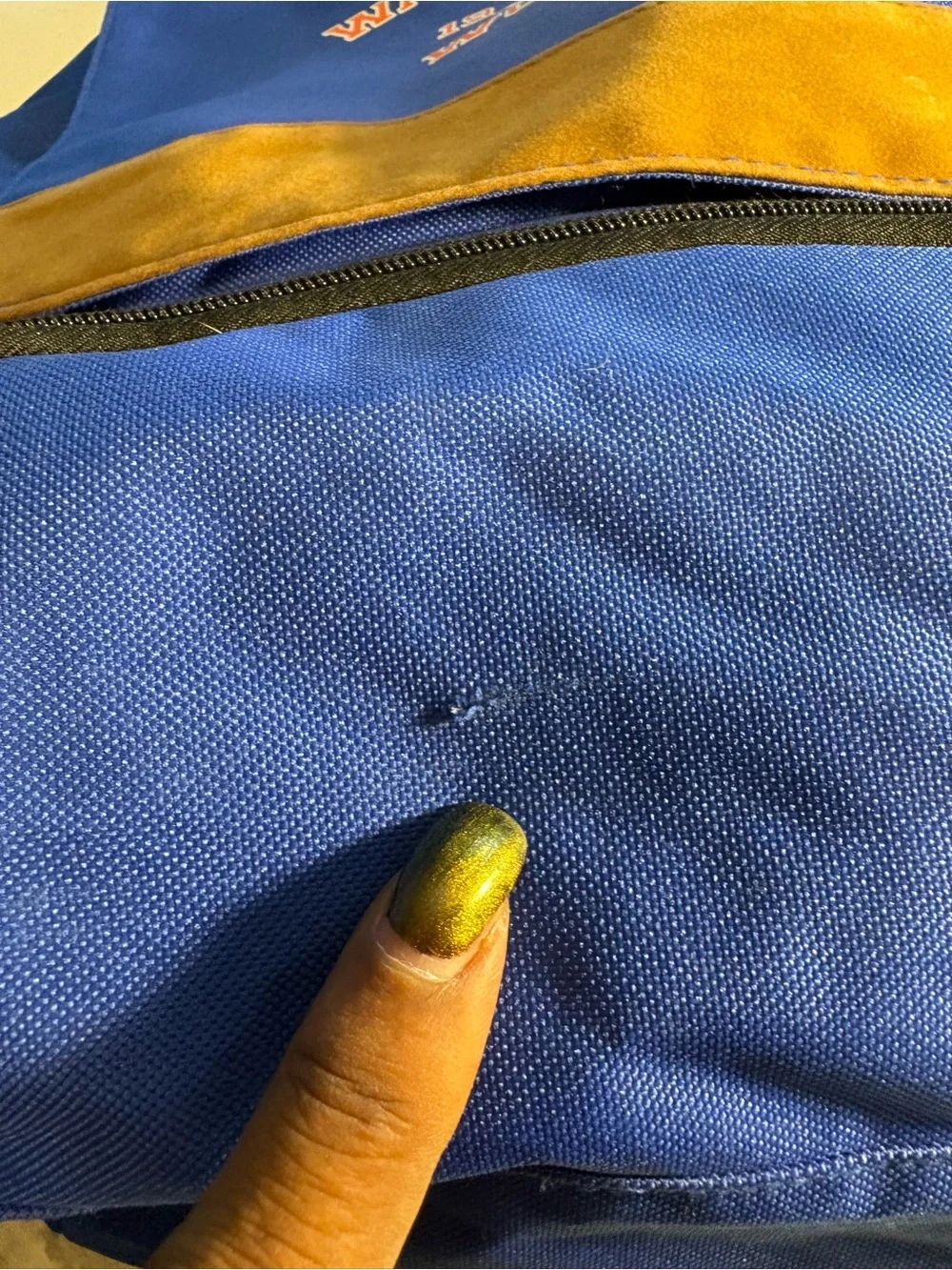 Walt Disney World 1971 Anniversary Blue Backpack Mickey Mouse Edition