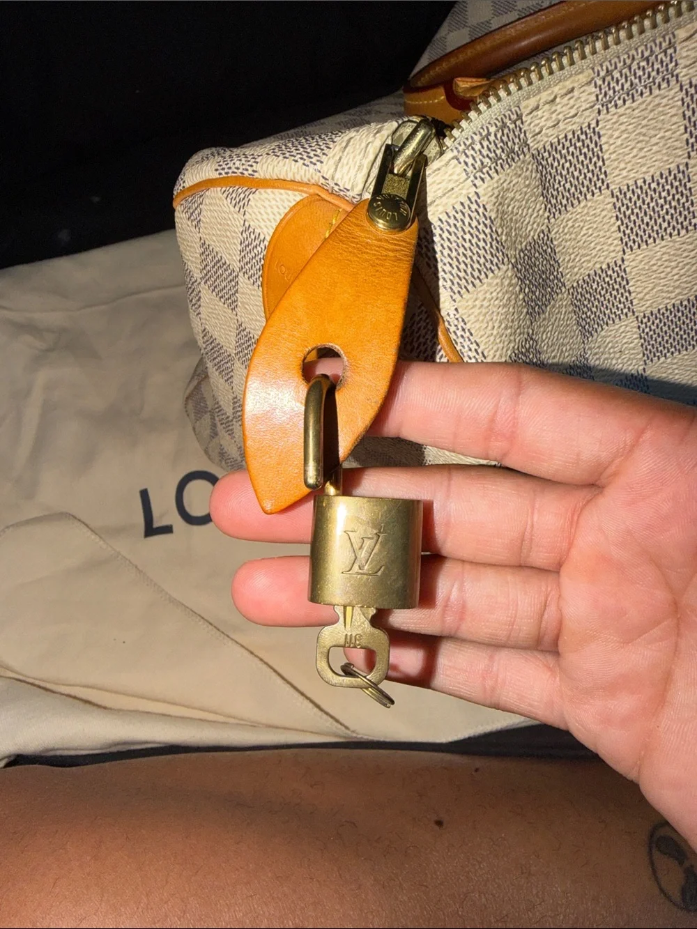 Louis Vuitton iconic louis