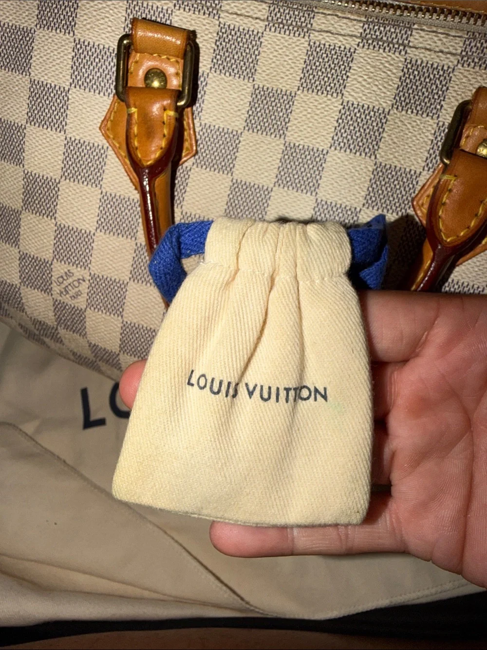 Louis Vuitton iconic louis
