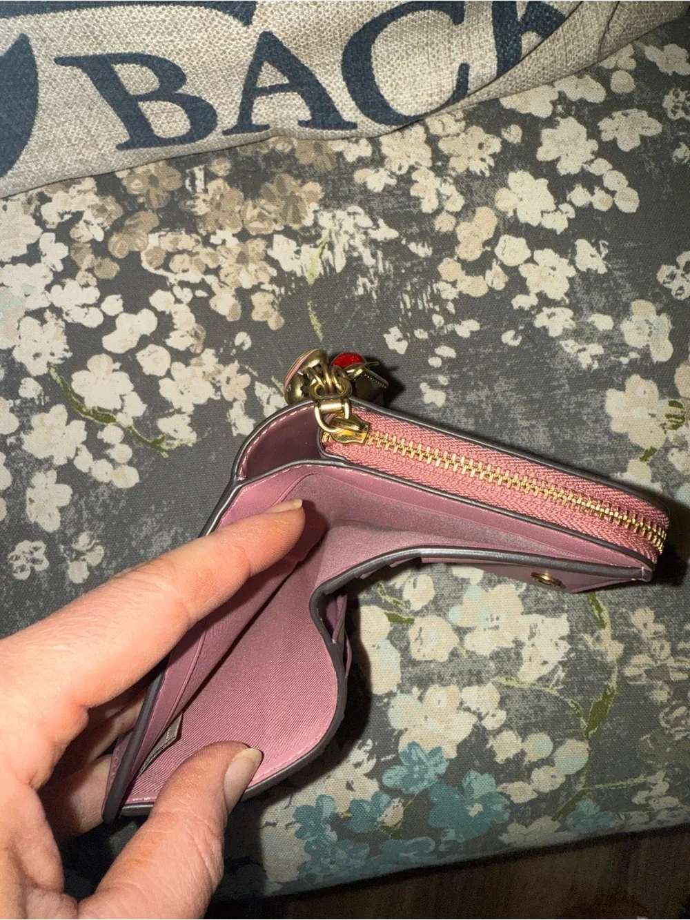 Coach leather striped