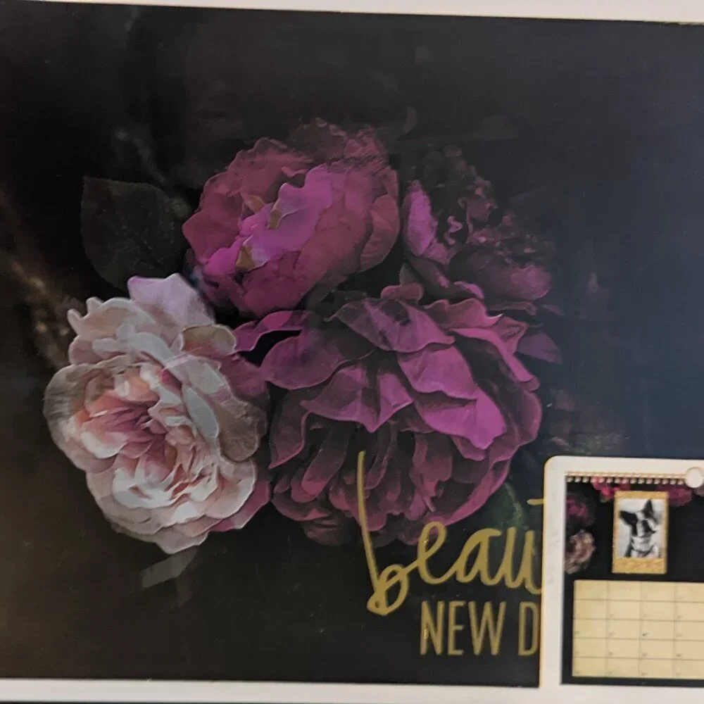 Heidi Swapp attractive new