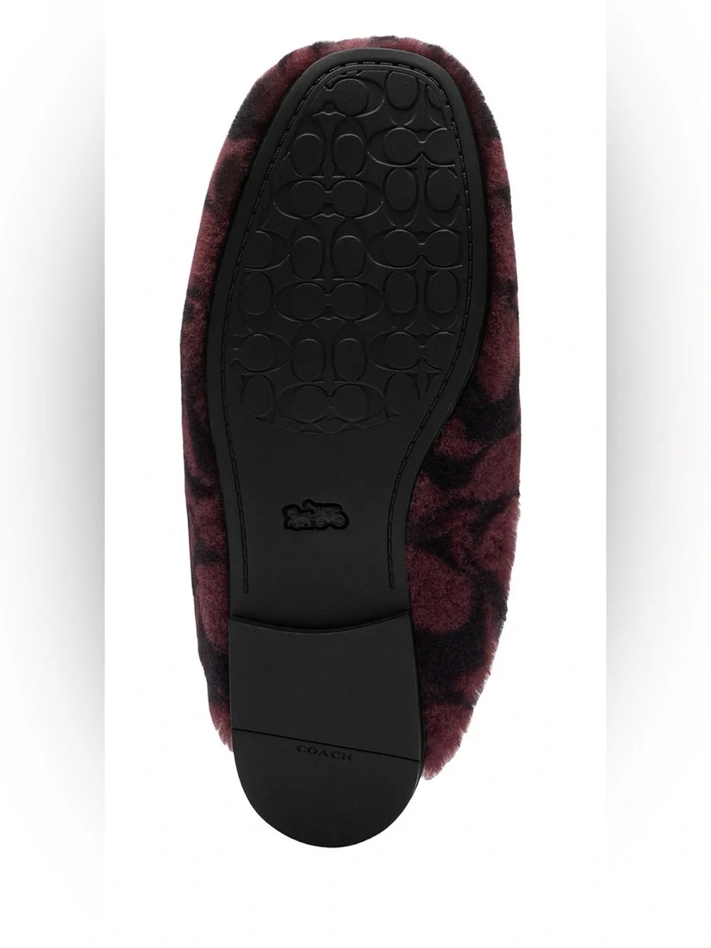Coach slipper signature