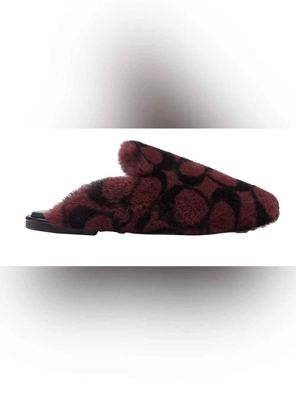 Coach slipper signature