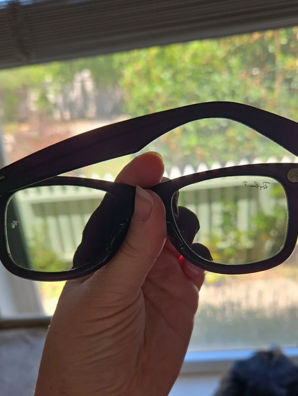 Ray-Ban classic ray