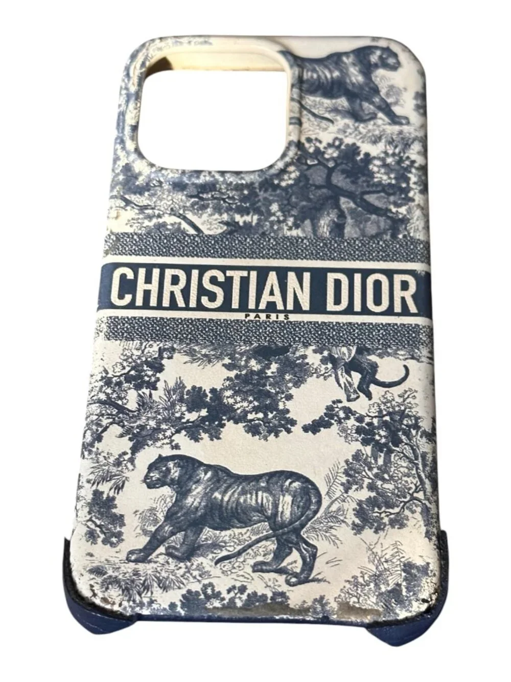 Dior this authentic
