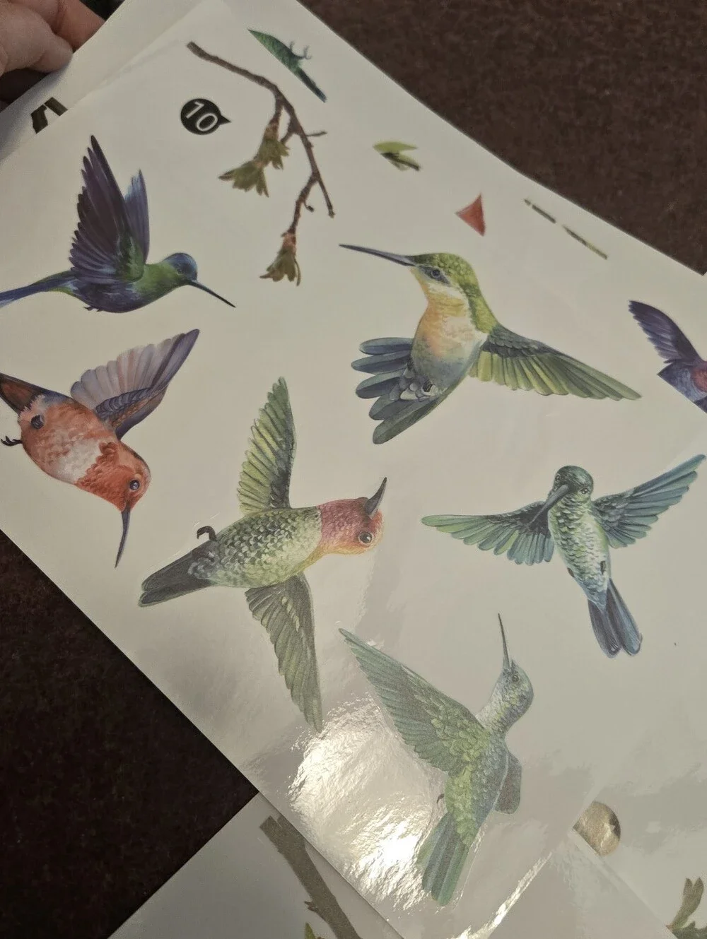 N/A bird branch