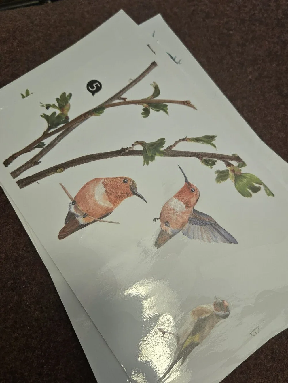 N/A bird branch