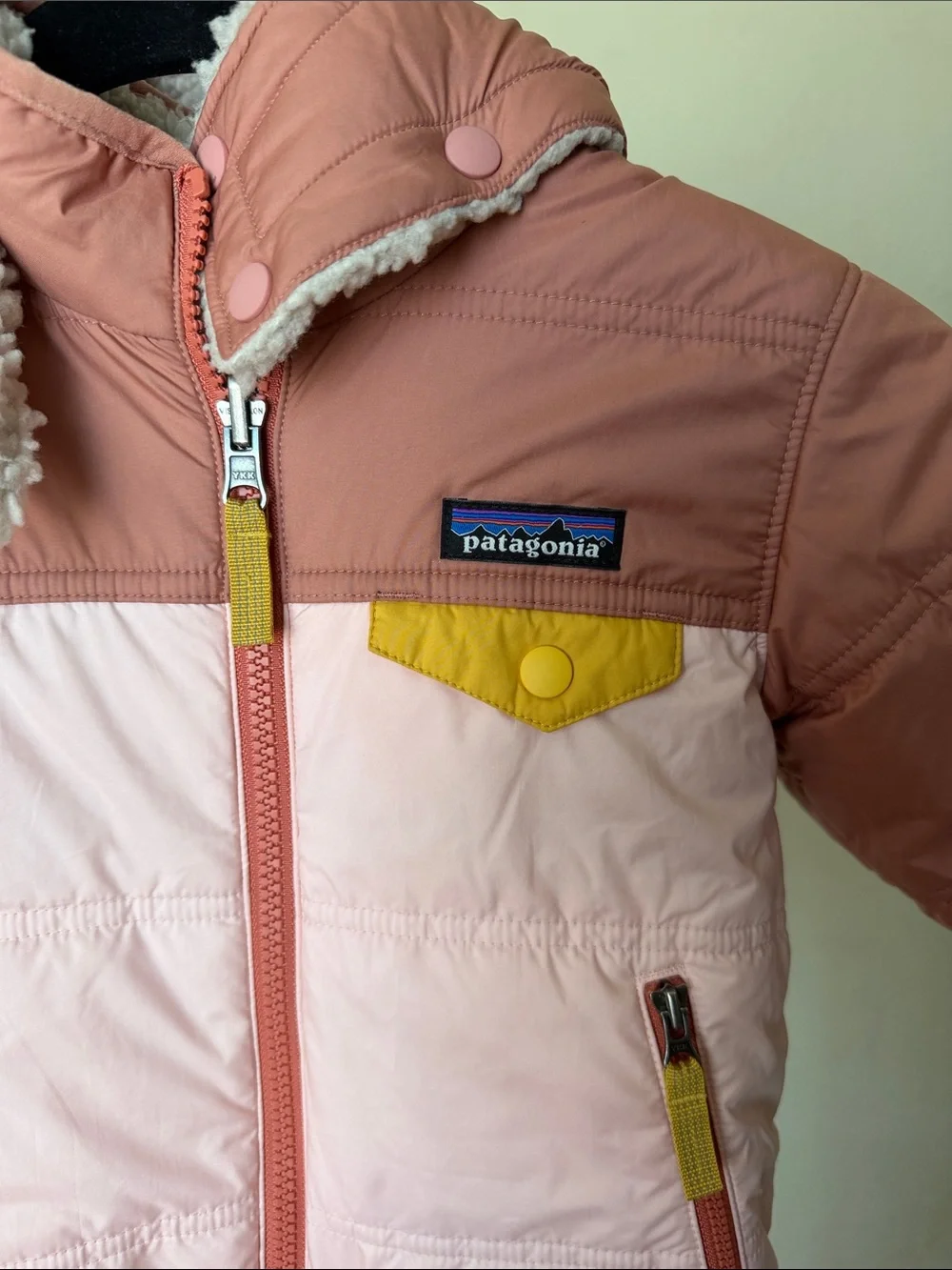 Patagonia overall great